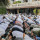 Naskah Khutbah Sholat Idul Fitri Muhammadiyah: Merayakan Kemenangan dengan Akhlak