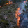 Perubahan Iklim Berkontribusi pada Kebakaran Hutan di Chile