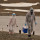 Para Ilmuwan Antartika Mengecam Ancaman Flu Burung
