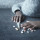 5 Ciri-ciri Overdosis Obat Sakit Gigi, Kenali Tandanya yang Perlu Diwaspadai