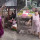 Aksi Emak-emak Joget Asyik di Tengah Pasar Ini Viral, Semangat Mak!