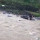 Viral Video Perjuangan Kurir Antarkan Paket Seberangi Sungai, Banjir Pujian