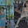 5 Potret Maria Vania Saat Olahraga di Gym, Makin Bugar