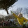 Wanita Kehilangan Kasus Tunjangan Setelah Foto Menang Lomba Lempar Pohon Viral