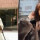 Gaya Berpakaian Fuji dan Aaliyah Massaid: Siapa yang Lebih Keren?