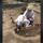 Aksi Viral Pengantin Foto Prewed di Kuburan, Alasannya Bikin Mewek
