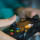 Gamer Konsol Xbox Berbahagia, Microsoft Akusisi Activision Blizzard