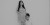 7 Potret Stella Cornelia Pamer Babybump Bareng Fendy Chow, Makin Besar