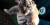 Heboh! Anak Harimau Sumatra Lahir dengan Gemilang di Kebun Binatang Roma