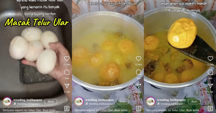 Ibu Ini Masak Telur Ular Piton, Rasa Hampir Mirip Telor Bebek 