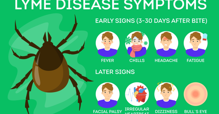 Penyakit Lyme: Gejala, Penyebab, dan Cara Mengobati yang Perlu Anda Ketahui