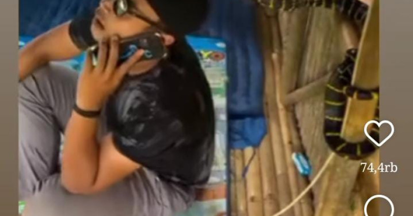 Lagi Asyik Teleponan di Saung, Kepala Pria Ini Dipatuk Ular Belang