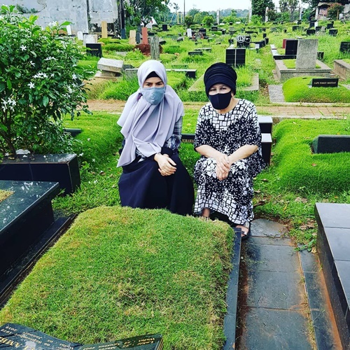 Daun.id