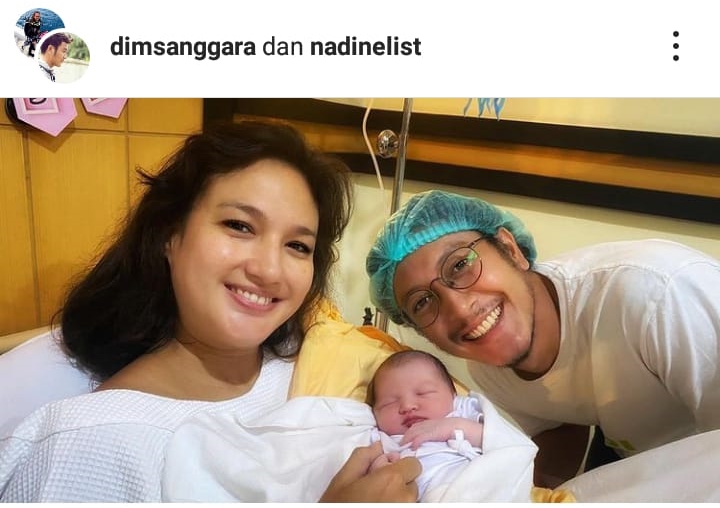 Daun.id