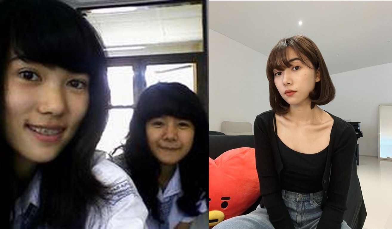 Daun.id